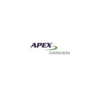 “Apex Gas Generators: Company, Technology, and Website Analysis”