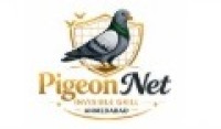 Pigeon Net Invisible grill Bird Net Ahemdabad