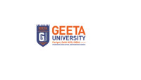Best Placements Colleges – Career-Focused Education at Geeta University