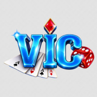 VicClub Hu Net