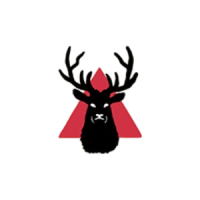 Wild Stag Studio