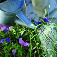 Landscaping Team