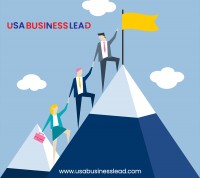 Online Business Lead Generation - usabusinesslead.com