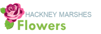 Hackney Marshes Flowers