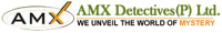 AMX DETECTIVE SERVICE