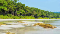 Andaman Tour Packages
