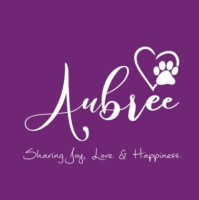 Premium Puppies for Sale in Bangalore | Aubree.co.in