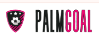 palmbaytowing2zc