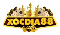 xocdiadoithuong88br