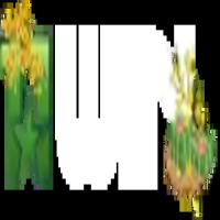 11winpubqn