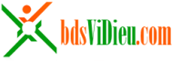 bdsvidieu