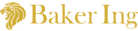 Baker Ing International Limited