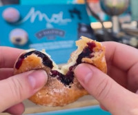French Doughnuts: Experience the Delight of Mini Beignets