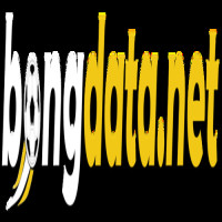 Bongdata