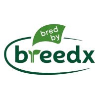 Breedx – Innovation in Pepper & Tomato Breeding