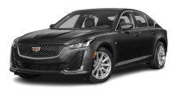 Reliable Luxury Transportation in San Diego for Every Occasion