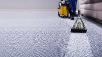 Houston Carpet Cleaning Services