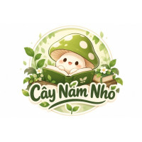 Cây Nấm Nhỏ