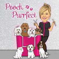 Pooch Purrfect