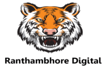 Best Digital Marketing Company in Jaipur
