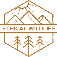 wildlife tour India