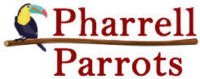 pharrell parrots world
