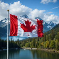 pr card renewal Canada with cougar immigration