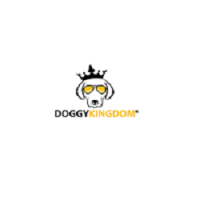 Keep Pets Warm Using Winter Jacket for Dogs