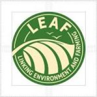 Exampleleaf Services Ltd