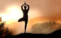 100 Hour Yoga Teacher Training Course In Rishikesh