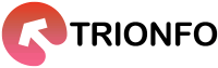Why Choose Trionfo IT Services for SEO?