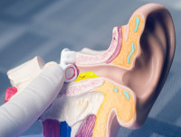 One Day Free Ear Wax Removal Course