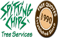 Stump Grinding in Canberra