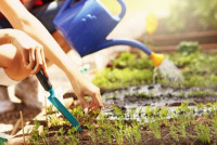 Pressure Washing Highgate