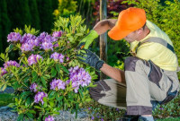Gardening Services Heston
