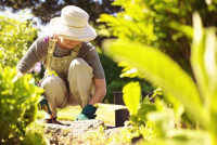 Gardener Highgate