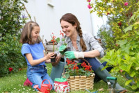 Gardeners Tottenham