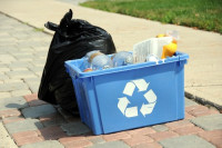 Commercial Waste Removal New Cross