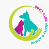 Cat boarding dubai | Fancy Furry