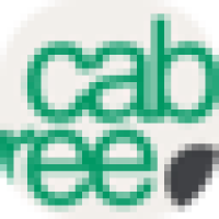 Cab Dispatch System | Cabree