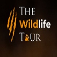 The Wildlife Tour — Experience India’s Wild Safaris with Expert Guides