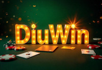 Diuwin – A Modern Name for Innovation and Success