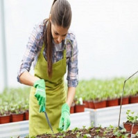 Garden Maintenance Seven Sisters