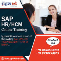 Best SAP HR HCM Online Training in Hyderabad | Igrowsoft