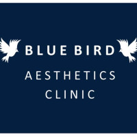 Blue Bird Aesthetics