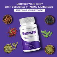 Memocept – Daily Wellness Support for a Focused Lifestyle