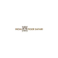 India Tiger Safari
