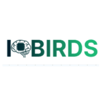 Unleash Your Digital Potential with IQbirds