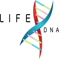 DNA Test Melbourne Australia for Methylation Insights