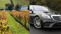 Top Attractions Winery in Yarra Valley:
